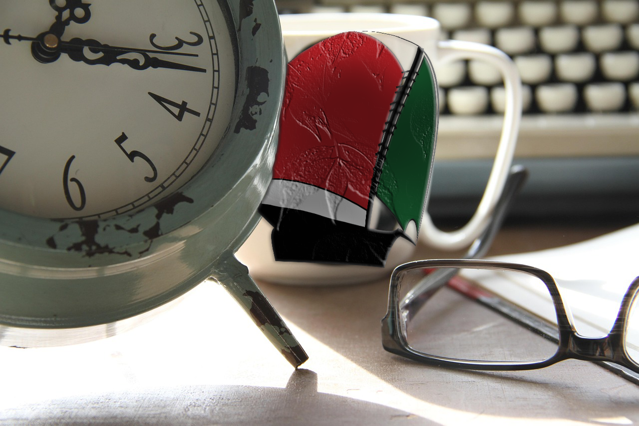 Ship to Gazas årsmöte 2026